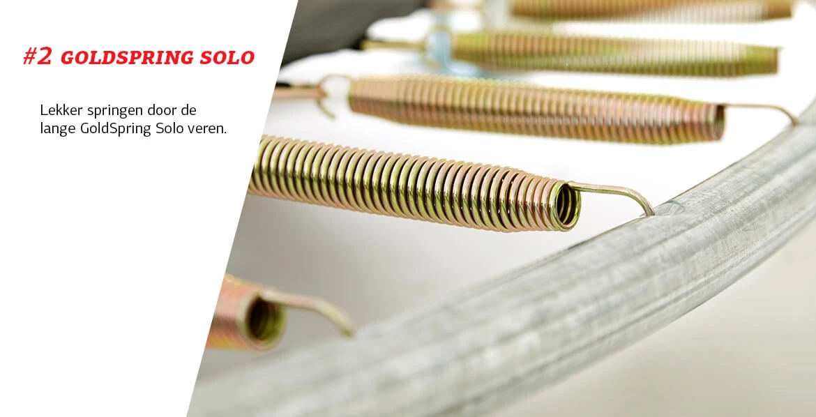 BERG Trampoline Inground Favorit 380 Black + Safety Net Comfort 5 BERG Trampoline Inground Favorit 380 Black + Safety Net Comfort - Afbeelding 3