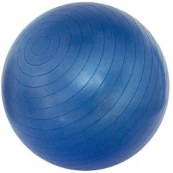 Gymbal 65 Cm 10 Gymbal 65 Cm -Aanbiedingen Buiten Plezier Winkel avento gymnastiek bal 41vl 3 1