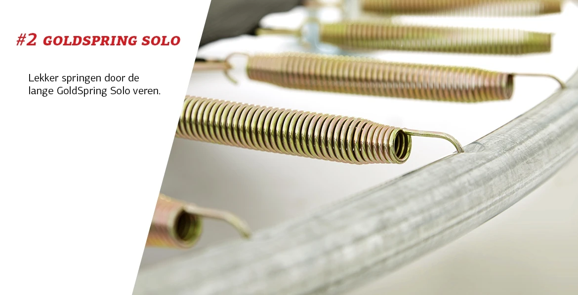 BERG Trampoline Inground Grand Favorit 520 Green + SafetyNet Comfort - Afbeelding 4