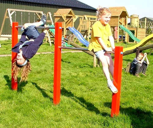 Duikelrek Staal Duo-uitvoering Openbaar Gebruik Turnrek 5 Duikelrek Staal Duo-uitvoering Openbaar Gebruik Turnrek - Afbeelding 3