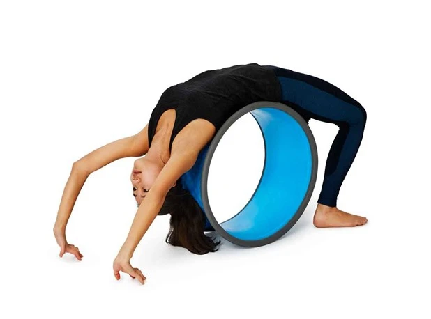 Gonge 2269 Body Wheel Large Therapie Speelgoed 7 Gonge 2269 Body Wheel Large Therapie Speelgoed - Afbeelding 5