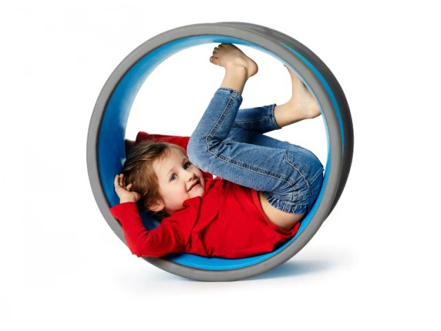 Gonge 2269 Body Wheel Large Therapie Speelgoed 3 Gonge 2269 Body Wheel Large Therapie Speelgoed
