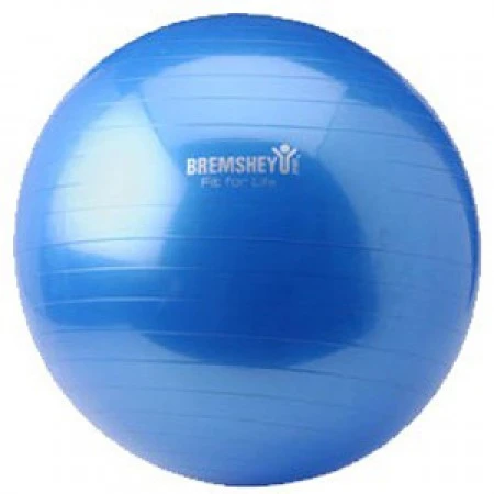 Bremshey Gymball 90 Cm 4 Bremshey Gymball 90 Cm - Afbeelding 2