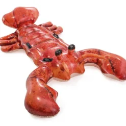 Opblaasbare Kreeft – Intex Lobster Ride-On 9 Opblaasbare Kreeft – Intex Lobster Ride-On -Aanbiedingen Buiten Plezier Winkel intex opblaasbare kreeft 57533 1