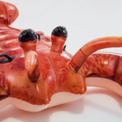 Opblaasbare Kreeft – Intex Lobster Ride-On 12 Opblaasbare Kreeft – Intex Lobster Ride-On -Aanbiedingen Buiten Plezier Winkel intex opblaasbare kreeft 57533 3