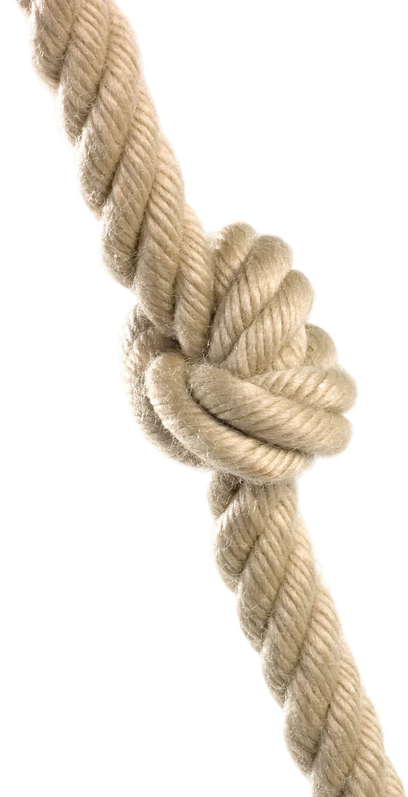 Knopentouw (PH) 5 Knopentouw (PH) - Afbeelding 3