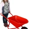 Kinderkruiwagen Lion Rood Kruiwagen Solid Wheel -Aanbiedingen Buiten Plezier Winkel kruiwagen leeuw