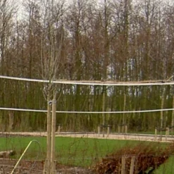 Outdoor Volleybalset Prof Heavy Duty