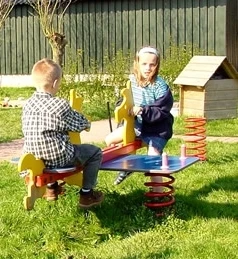 Duo-veerpony Openbaar 6 Duo-veerpony Openbaar - Afbeelding 4