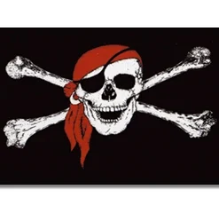 Vlag Op Stokje – Piraat -Aanbiedingen Buiten Plezier Winkel vlag piraat